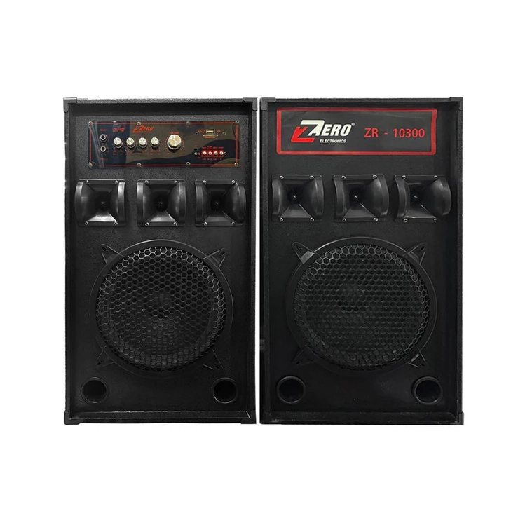 Subwoofer Zero ZR-10300 صب ووفر زيرو ZR-10300 | Subwoofer Zero ZR 10300